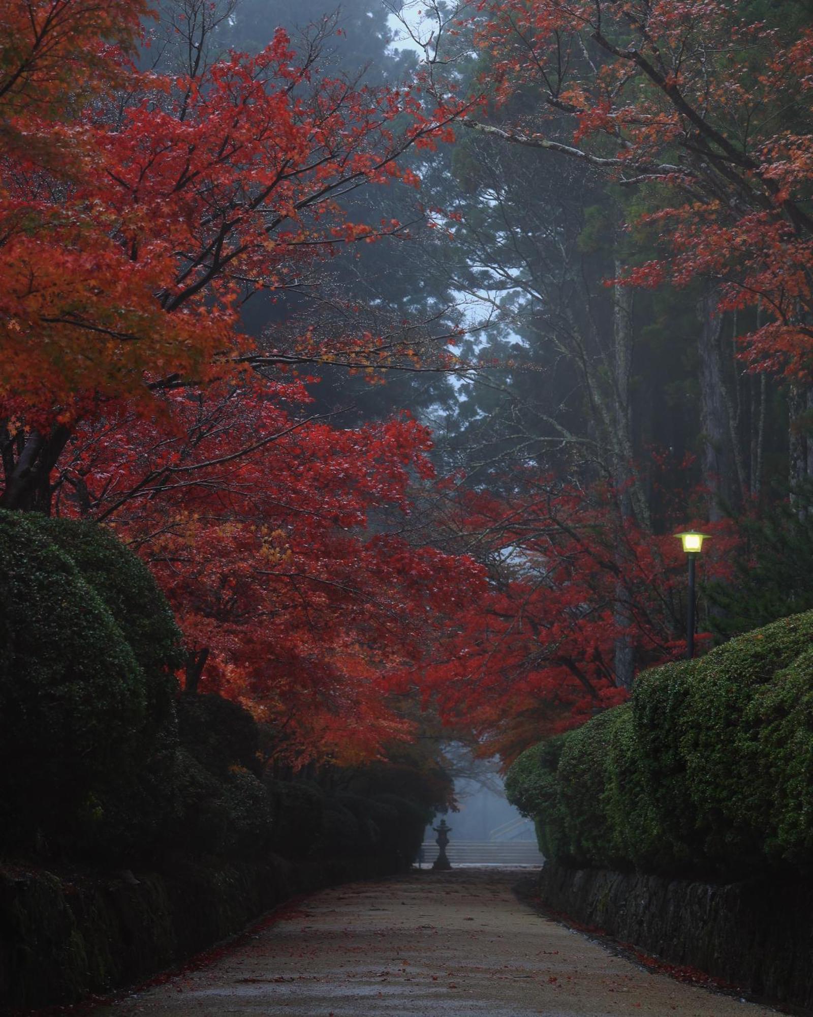 Koyasan Guesthouse Kokuu Eksteriør billede