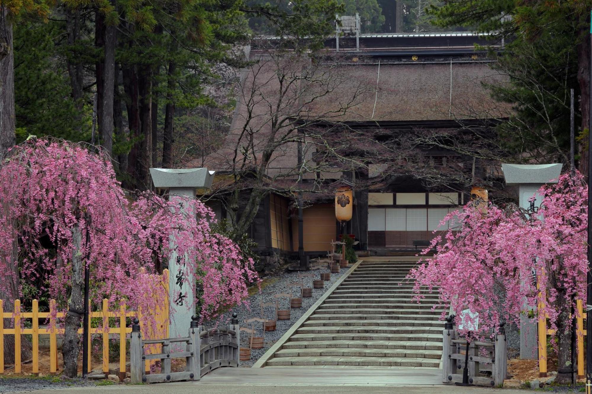 Koyasan Guesthouse Kokuu Eksteriør billede